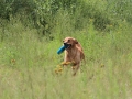 20120804-img_2698
