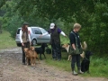 k-IMG_4203