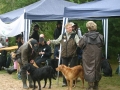 k-IMG_4205