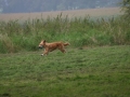 k-IMG_4154