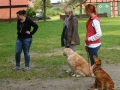 k-IMG_4174