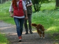 k-IMG_4182