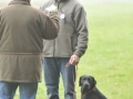 k-_DOG0886