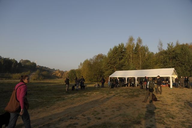 k-FlatworX 04.10.14 (2)
