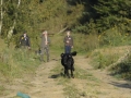 k-FlatworX 04.10.14 (15)