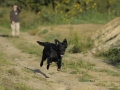 k-FlatworX 04.10.14 (16)