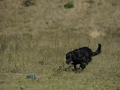 k-FlatworX 04.10.14 (19)