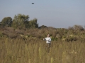 k-FlatworX 04.10.14 (21)