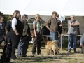 k-FlatworX 04.10.14 (47)