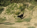 k-FlatworX 04.10.14 (52)