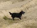 k-FlatworX 04.10.14 (54)