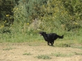 k-FlatworX 04.10.14 (57)