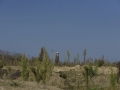 k-FlatworX 04.10.14 (72)