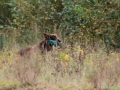 k-IMG_0718_bearbeitet-1