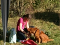 k-IMG_4712