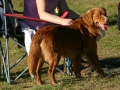k-IMG_4724