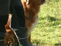k-IMG_4734