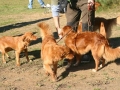 k-IMG_4773