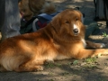 k-IMG_4825