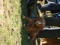 k-IMG_4870
