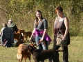k-IMG_4871