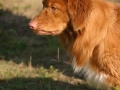 k-IMG_4910