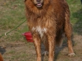 k-IMG_4911