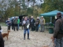 Hannoveraner Toller Treffen 2015
