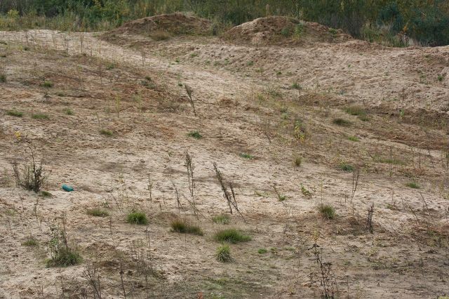 k-HTT 2015 (101)