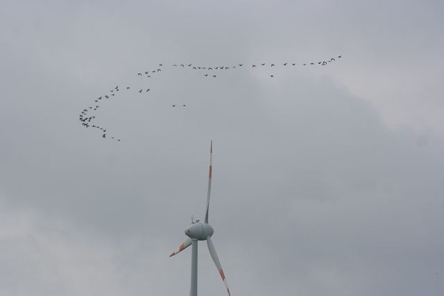 k-HTT 2015 (85)