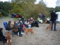 k-HTT 2015 (161)