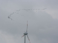 k-HTT 2015 (85)