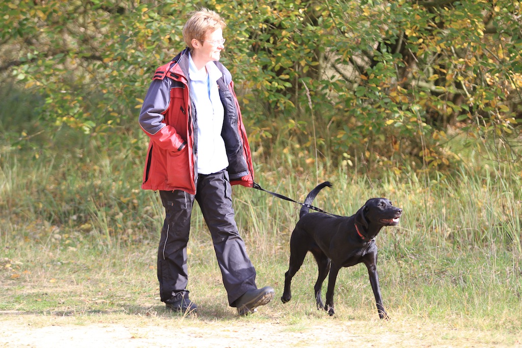drc_herbstfest_2012-115