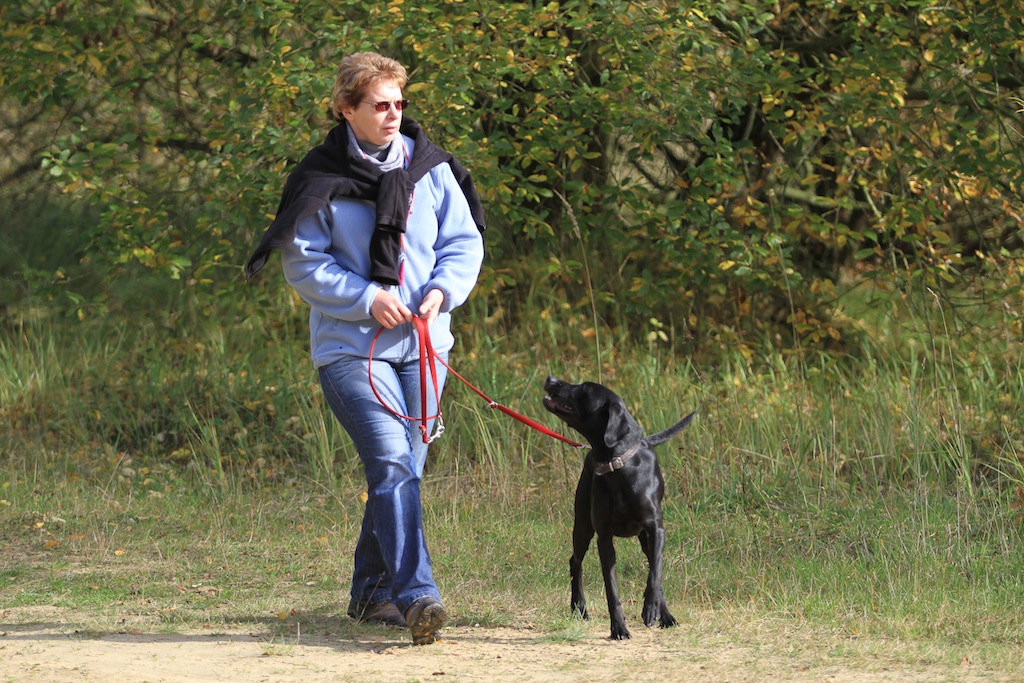 drc_herbstfest_2012-116