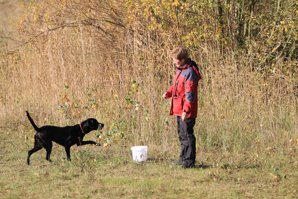 drc_herbstfest_2012-19