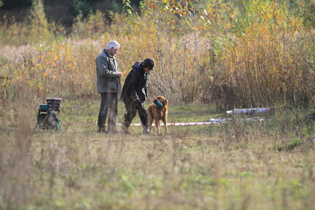 drc_herbstfest_2012-22