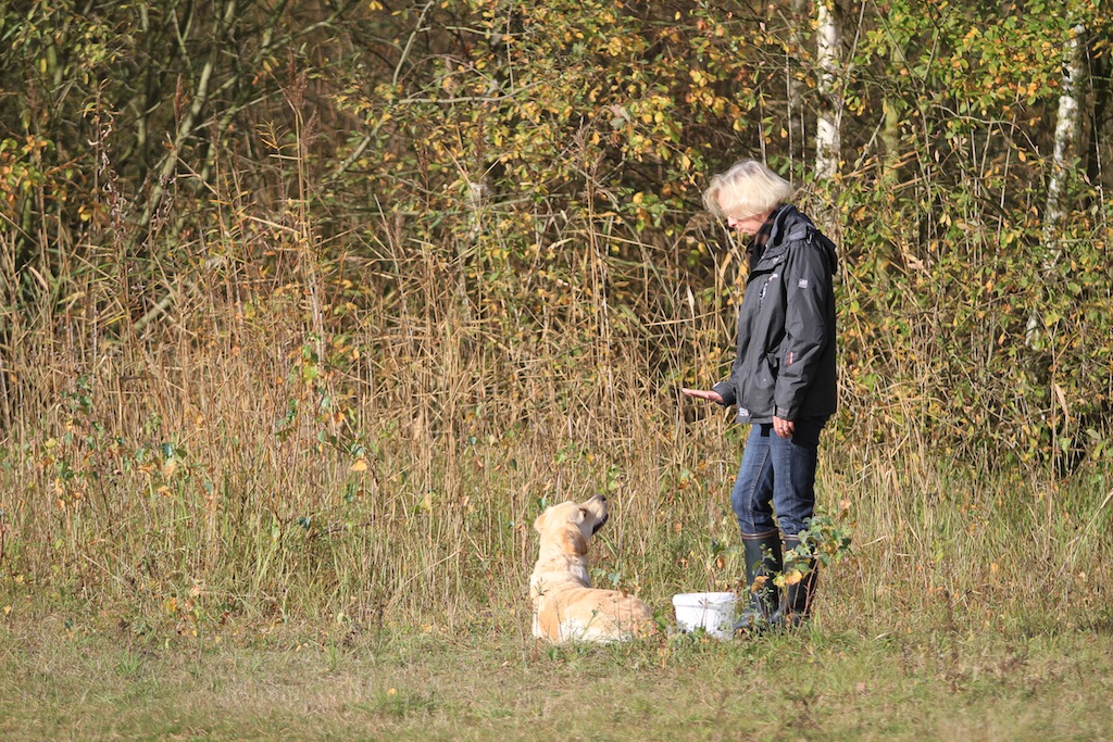 drc_herbstfest_2012-69