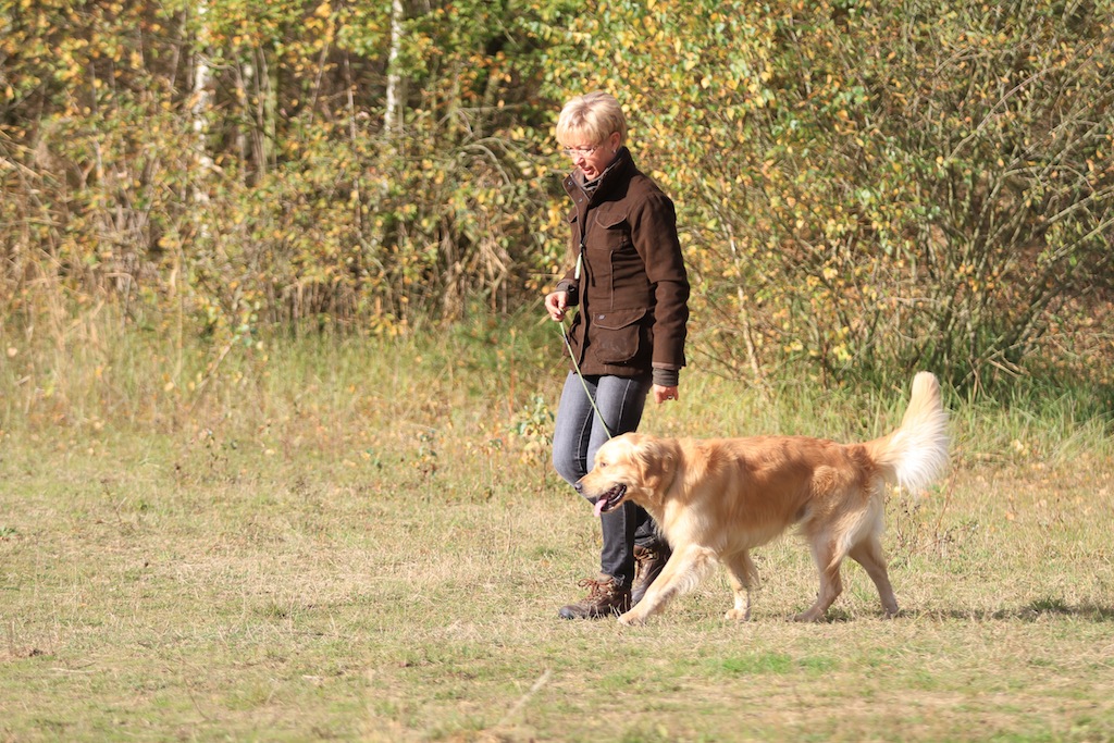 drc_herbstfest_2012-74