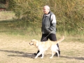 drc_herbstfest_2012-108