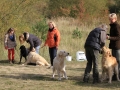 drc_herbstfest_2012-109