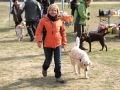 drc_herbstfest_2012-114