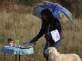 drc_herbstfest_2012-13