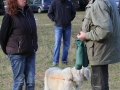 drc_herbstfest_2012-147