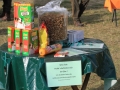 drc_herbstfest_2012-156