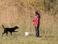 drc_herbstfest_2012-19