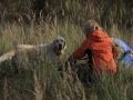 drc_herbstfest_2012-4