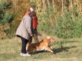 drc_herbstfest_2012-57