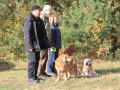 drc_herbstfest_2012-58