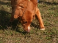 k-img_2048