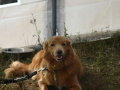 k-img_2055